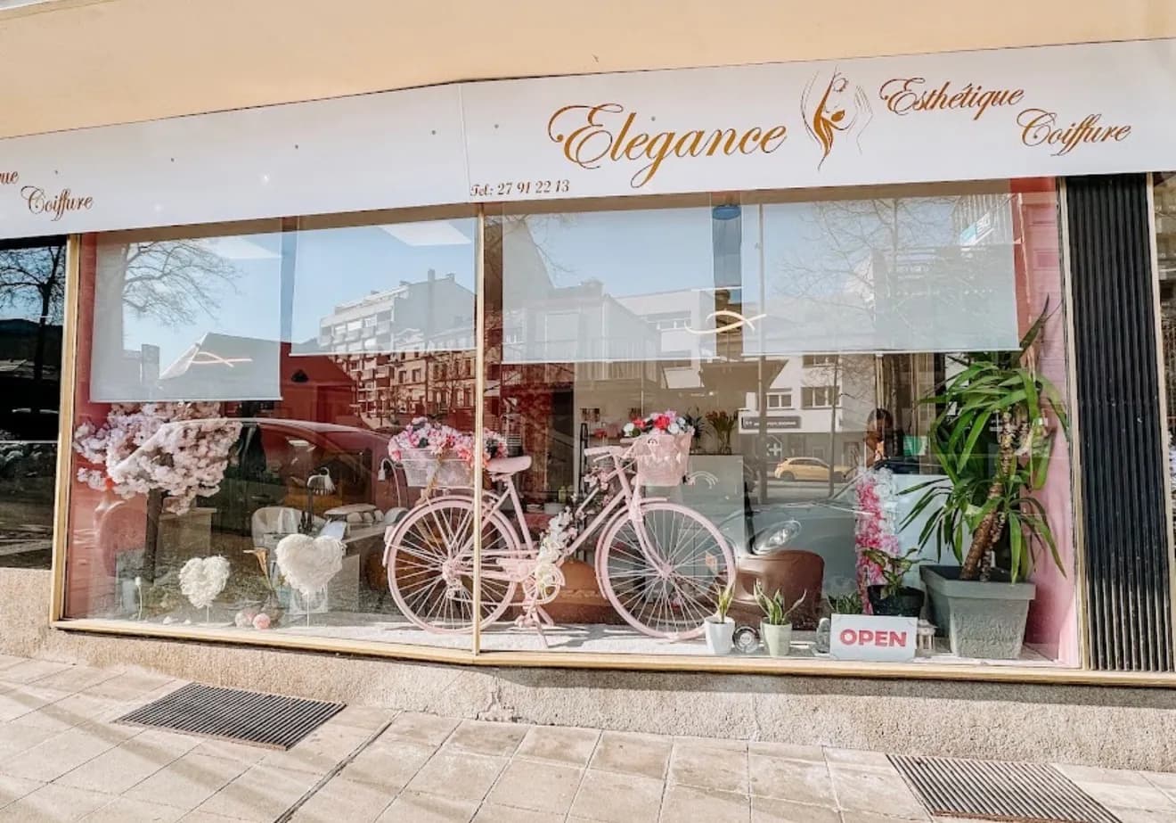Elegance Coiffure 1